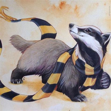 94 Best Images About Hufflepuff On Pinterest Loyalty Ravenclaw And