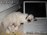 Photos of I''m Too Tired To Work Out