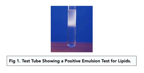 ᐉ Test For Carbohydrates Lipids And Proteins Biuret And Emulsion