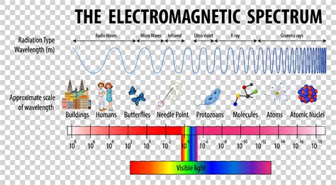 Science Electromagnetic Spectrum Diagram 2036271 Vector Art At Vecteezy