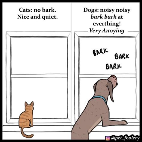 4 Hilarious Comics Explaining Why Cats Are Better Than Dogs Bored Panda