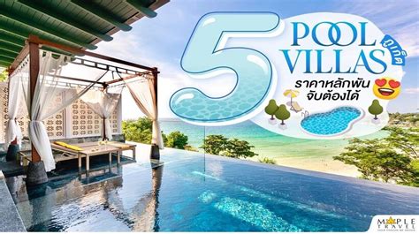 เมเปิลพาชิล 5 Pool Villas Phuket ราคาหลักพันจับต้องได้ Maple Travel