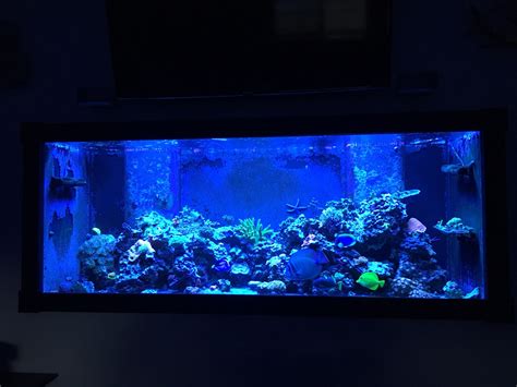 New Hampshire 210 Gallon Aquarium Reef2reef Saltwater And Reef