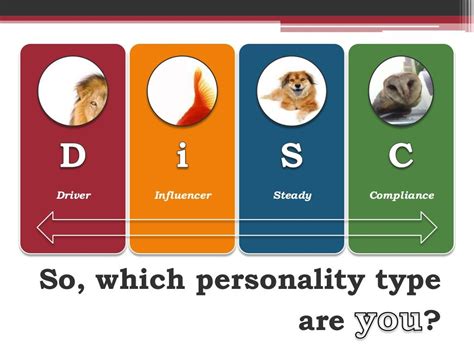 4 Personality Types Test Driver Who Im I