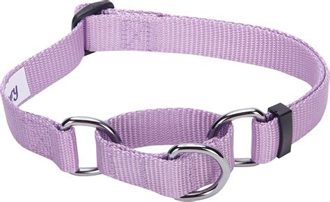 Martingale Dog Collars How To Use Them And Which Are Best Dogs Experts