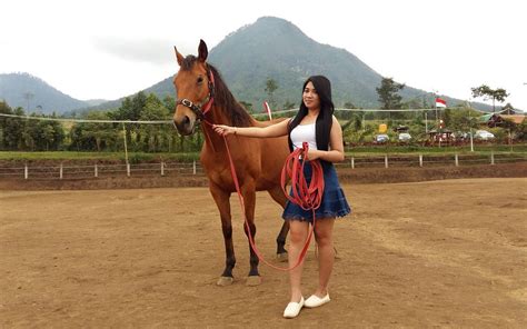 Kali ini gua mendapat kesempatan untuk melihat proses kuda kawin di suharno stable. Koleksi Baru 29+ Gambar Kartun Orang Naik Kuda