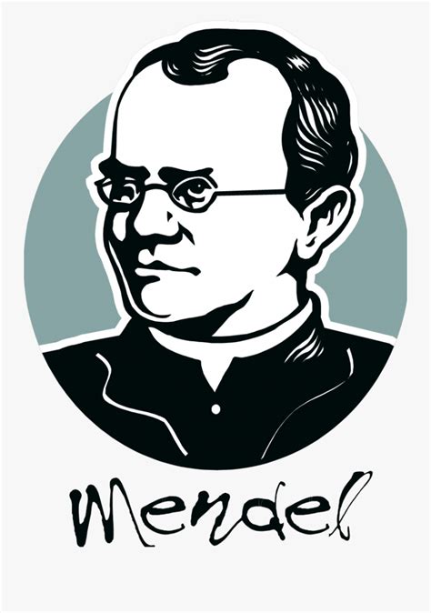 Humor Gregor Mendel Easy Drawing Free Transparent Clipart Clipartkey