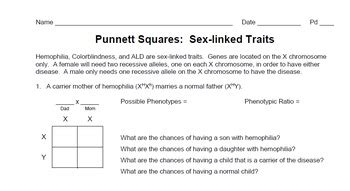 Genetics Sex Linked Trait Punnett Squares By Spyglass Biology Tpt Hot Sex Picture