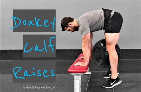 Calf Workout Without Machine Jeremy Boudreau