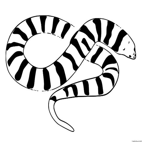 Animal Snake Easy Coloring Page » Turkau