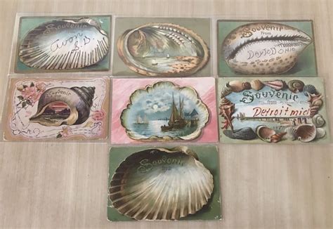 Nicevintage Lot Of 7 Souvenir Shell Seashell Early 1900s Antique