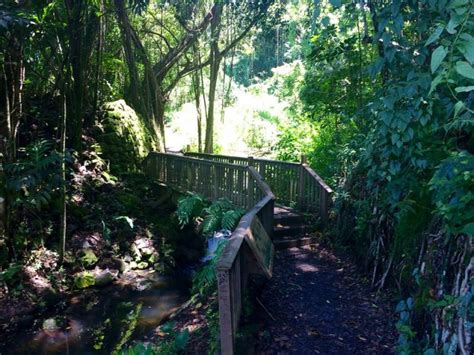 Best Hikes On Oahu The Makiki Valley Loop Trail On Walkabout