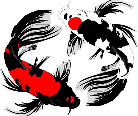 Koi Fish Carp Free Image On Pixabay