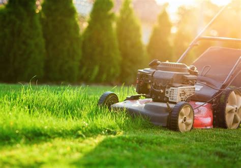 Lawn Maintenance Quality Turf Sod Farm