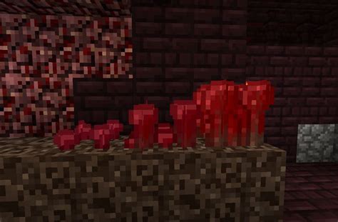 How To Build A Nether Wart Farm In Minecraft