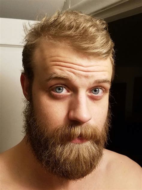 Wilhelm Blonde Beard Beard Beard Envy