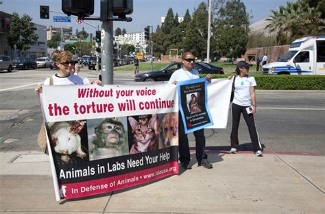 Animal Rights Activists What Are They And What Do They Do
