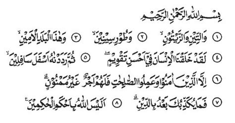 Dan ingatlah ketika kami berfirman kepada para malaikat, sujudlah kamu kepada adam, maka sujudlah mereka kecuali iblis, ia enggan dan takabur dan ia adalah termasuk golongan kafir. Al Mujahidin: Surah At- Tin