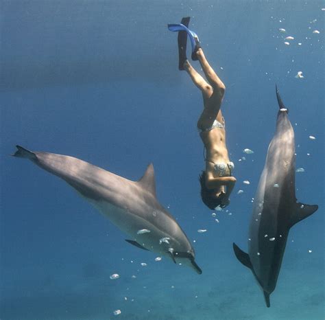 Making Mammal Music Meet The Woman Who Dances With Dolphins In Perfect