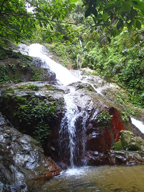 Kas soovite lisada asukoha hutan lipur gunung arong lemmikute hulka, et seda tulevikus kiiremini vaadata? mcHiker: Gunung Nuang via Janda Baik - Janda Baik, Pahang