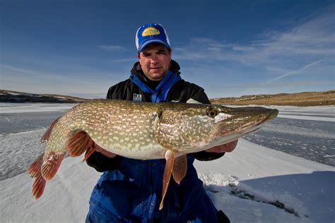 Fort Peck Lake Frozen Over Montana Hunting And Fishing Information