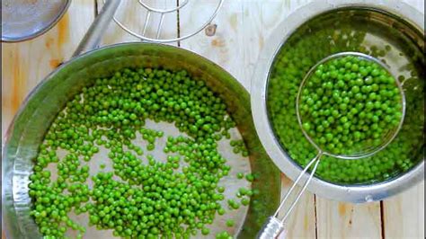 How To Blanch And Freeze Peas Kali Mirch By Smita