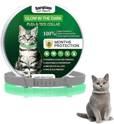 The Best Flea Collars For Your Cats That Will Make Your Life Easy