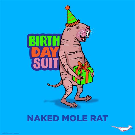 Humor Birthday Suit Naked Peppermint Narwhal Creative