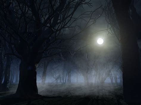 Dark Forest At Night With Full Moon Spooky Forest Forest Background