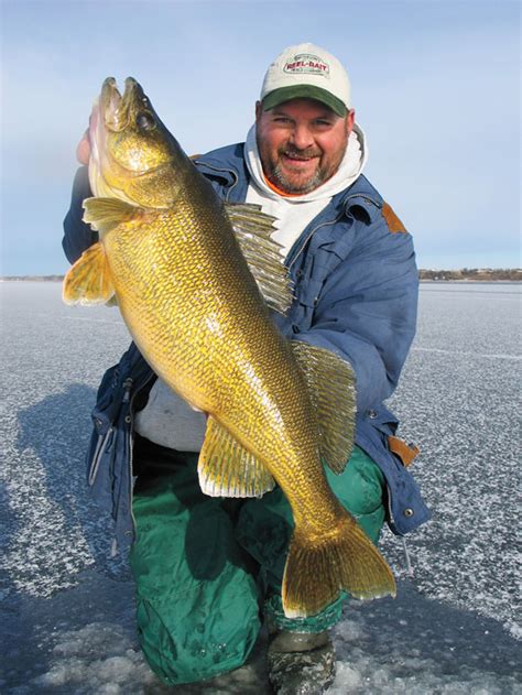 Ice Fishing Methods For Trophy Walleyes In Fisherman
