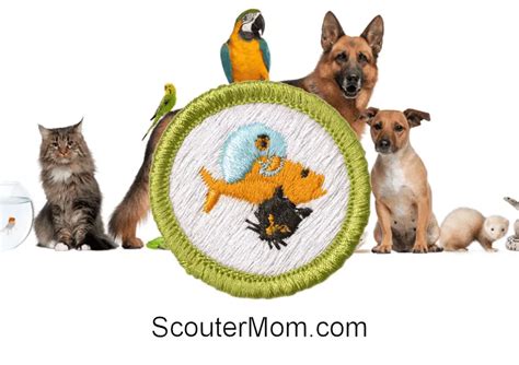 Pets Merit Badge Helps And Documents Scouter Mom