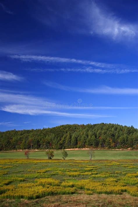 Georgia Countryside Stock Image Image Of Country Forest 16644091