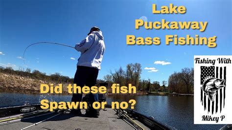Lake Puckaway Cuts For Bass Youtube