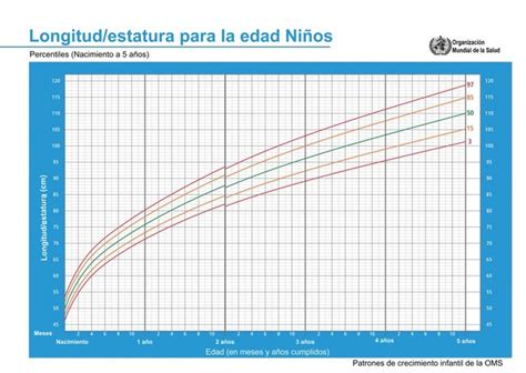 Gráficas De Crecimiento Y Percentiles Cómo Interpretarlos Para Saber