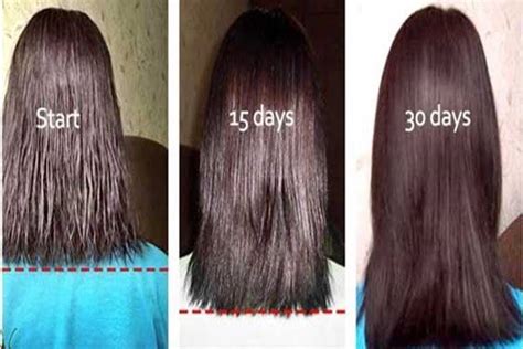 Natural Hair Growth Essential Oil Hair Loss Products