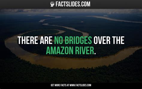 There Are No Bridges Over The Amazon River This Is A Pretty Remarkable