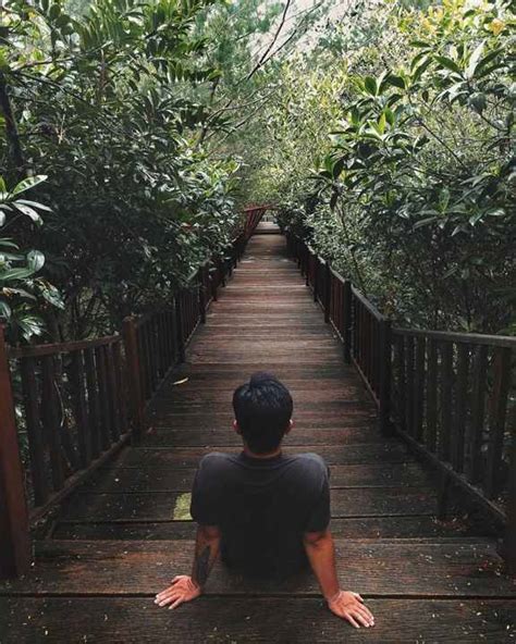 Ekowisata Mangrove Wonorejo Harga Tiket Masuk Dan Jam Buka Wisata Diary