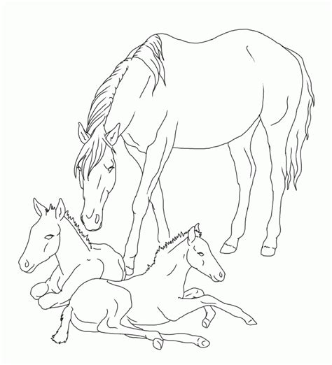 Horse And Foal Coloring Pages Realistic Sketch Coloring Page Coloring