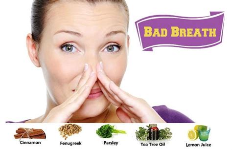 how to get rid of bad breath by natural home remedies bad breath natural home remedies remedies