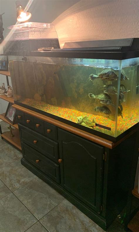 Turtle Tank With Stand 55 Gallon Fish Tank For Sale In Phoenix Az