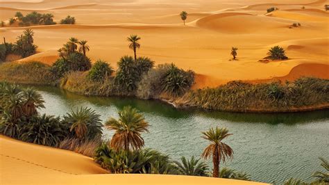 Oasis Umm Al Maa In Sahara Desert Ubari Lakes Libya Windows 10