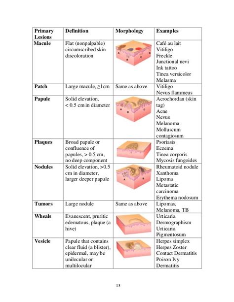Dermatology Medical Students Student Guide