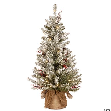 National Tree Company 3 Ft Dunhill Fir Tree With Battery Operated Warm