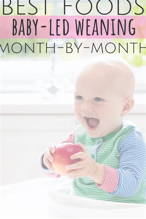 6 months + this post may contain affiliate links. foods for baby-led weaning. 6 months all the way through 1 ...