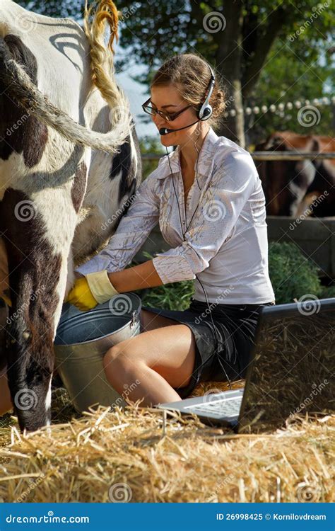 Woman Milking Cow Royalty Free Stock Photo Image