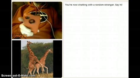 Omegle Reactions Giraffe Sex Youtube