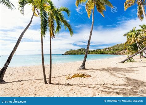 Idyllic Beach At Caribbean Stock Image Image Of Coast 118648007