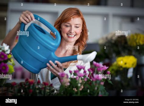 Female Florist Watering Flowers Stock Photo Alamy