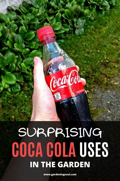 surprising coca cola uses in the garden