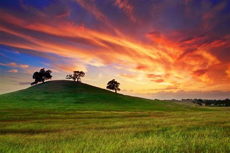 Landscape Photography Of Clear Grass Field With Tree Hd Wallpaper